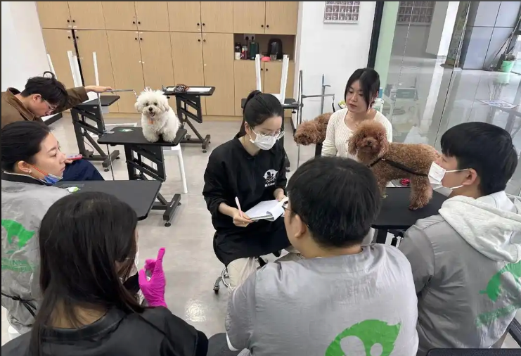 潜江市宠物美容培训宠物美容培训学校 - 哪里好